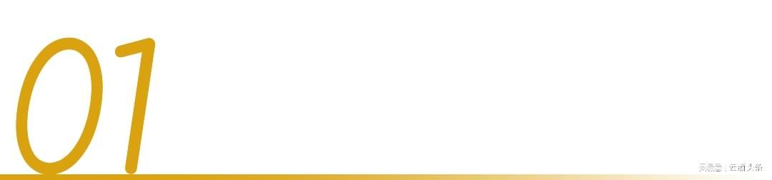 爱游戏中国官网-冲着周杰伦“一轮游”来，却嗑起了澳网和国窖1573的CP